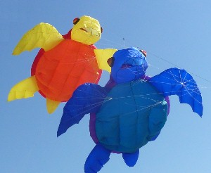 Turtle