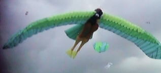 Bird Kite