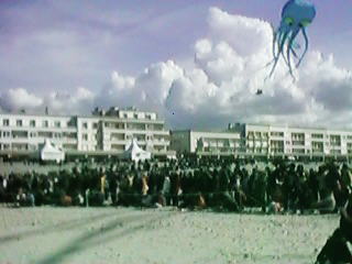 Festival Crowd