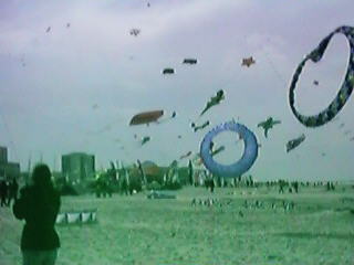 Festival Skyline
