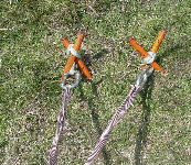 Anchor Spikes