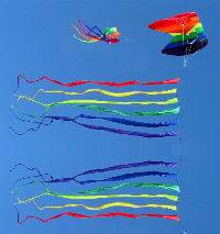 Streamer Flags shown with Skyform 125 and Jellyfish