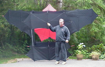 Extended Wing Cody 70