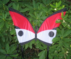 Butterfly Kite