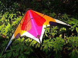 Temptation and Firefly