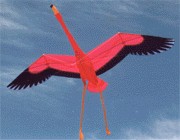 Pink Floyd -- the Flamingo