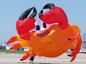 Giant Crab