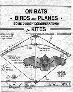 On Bats. Birds and Planes
