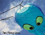 Two Flying Lines
