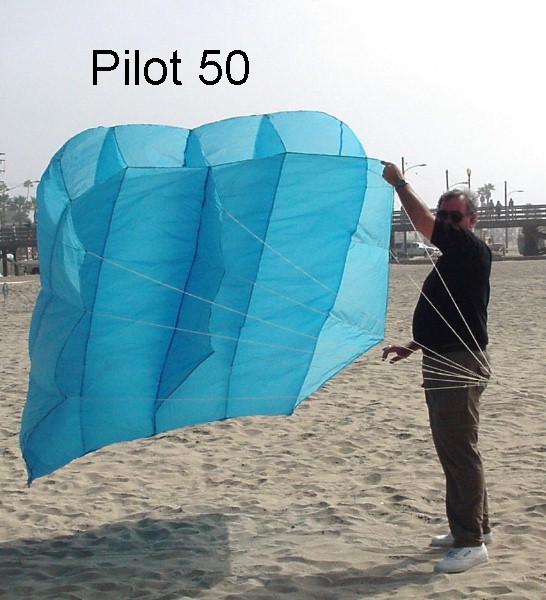 Pilot Kite