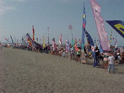 Kite Parade