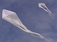 Schweiman Ghost Deltas