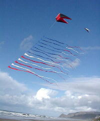American Flag Streamers