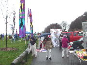 Damp and Drippy in Seattle