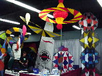 Freido Kites