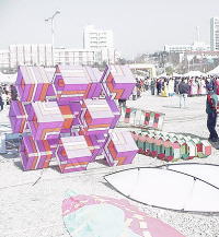 Our Kites - On the Ground