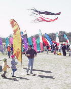Zilker Banners
