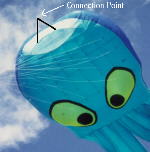 Connection on Octopus