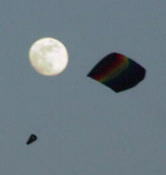 Shannon Foil in the Moonlight