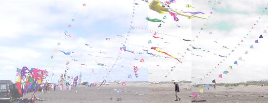 Ocean Shores Panorama