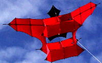 Extend Wing War Kite