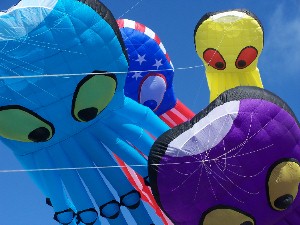 Octos at Ocean Shores