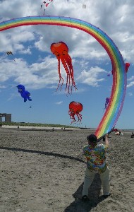 WW Kites