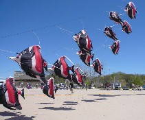Grand Haven Saturday