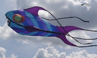 Jamestown Kites