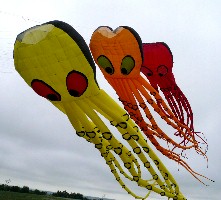 Swift Current Kites