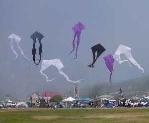 Brookings Kites