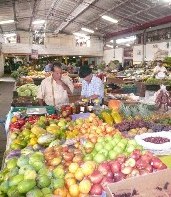 Medellin Sightseeing