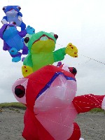 GKPI on the North Fields