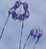 Other Guys on the North Side