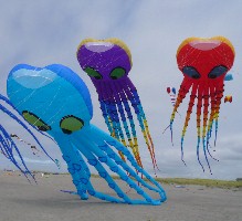 GKPI on the North Fields