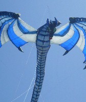 Other Guys on the North Side