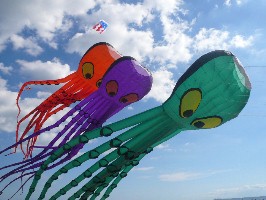 Dry Kites