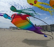 SunFest Kites