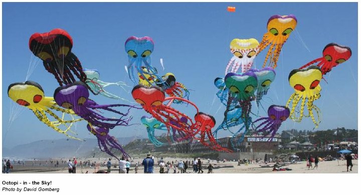 Friendly Octopus Skies