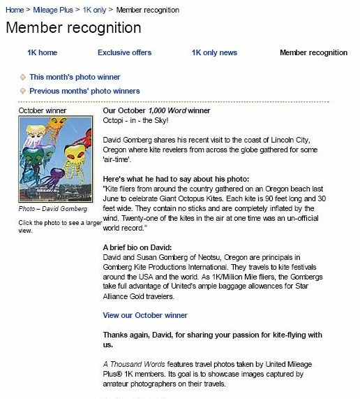 Friendly Octopus Skies