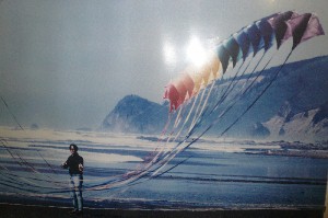 Flying at the Wayside