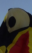 Berck Kites