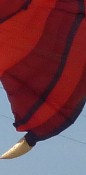 Berck Kites