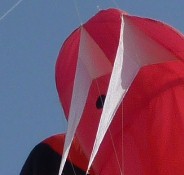 Berck Kites